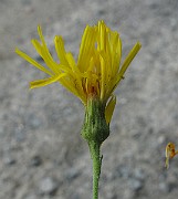 IMG_5304