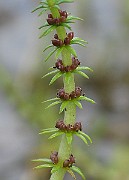 IMG_7293