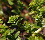 IMG_0019