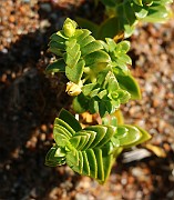 IMG_0023