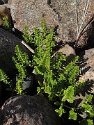 IMG_0512