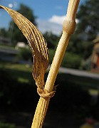 IMG_9109