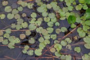 IMG_1922
