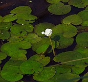 IMG_2752