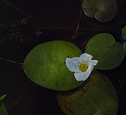 IMG_2757