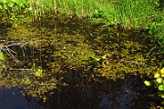 IMG_2819