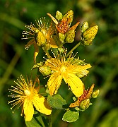 IMG_0204