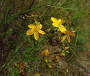 IMG_3685