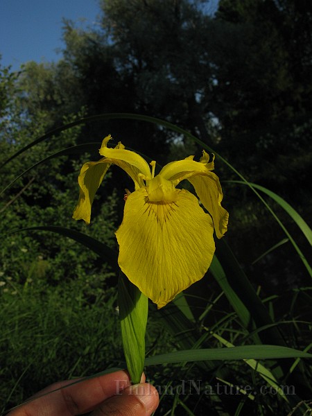 IMG_3719.jpg