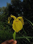 IMG_3719