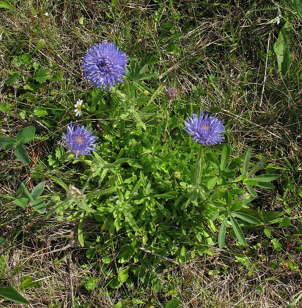 IMG_4479.jpg