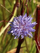 IMG_1205