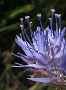 IMG_4244c