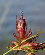 IMG_1943
