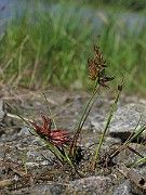 IMG_1944