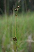 IMG_5280