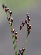 IMG_7119