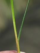 IMG_7120