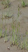 IMG_7188b