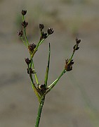 IMG_7189