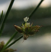 IMG_2754