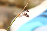 IMG_0542