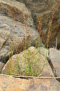 IMG_0543