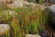 IMG_0677