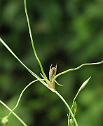 IMG_1759