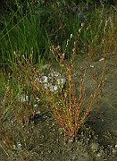 IMG_4800