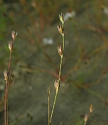 IMG_4801