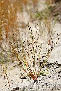 IMG_6580