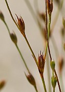 IMG_6582