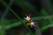 IMG_0002