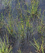 IMG_0722