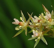 IMG_6450