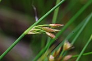 IMG_9998
