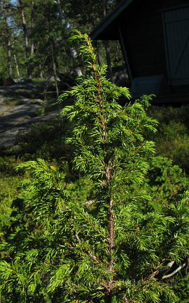 IMG_8100.jpg