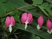 IMG_0158