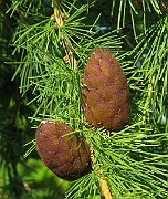 IMG_3865