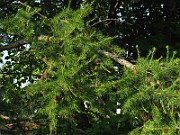 IMG_3866
