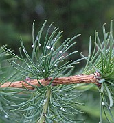 IMG_7490
