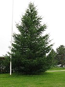 IMG_7491