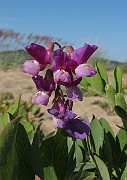 IMG_0034