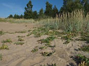 IMG_0040