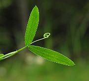 IMG_2396