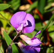 IMG_9935