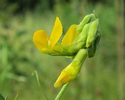 IMG_0154