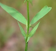 IMG_1724