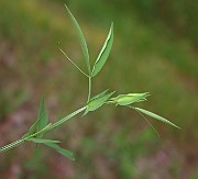 IMG_1725